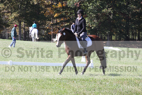 Elaine Groves on Luidonna, Beginner Novice Horse Trials Senior B