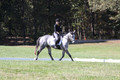 Michele Gnozzio on Dazzling, Beginner Novice Horse Trials Senior C