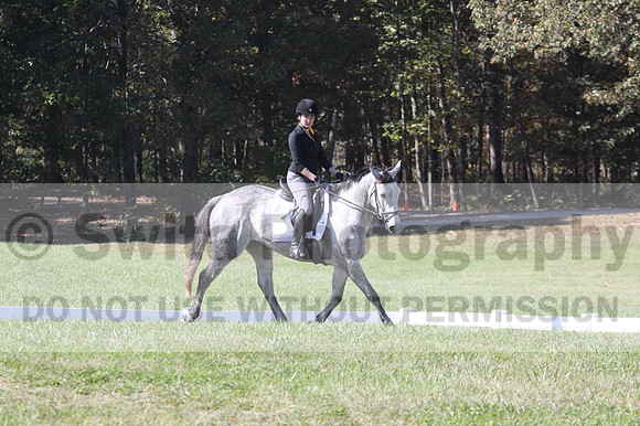 Michele Gnozzio on Dazzling, Beginner Novice Horse Trials Senior C