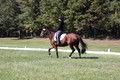 Elaine Groves on Luidonna, Beginner Novice Horse Trials Senior B