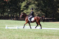 Katie LaValle on High Speed Internet, Beginner Novice Horse Trials Senior A