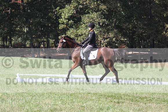 Katie LaValle on High Speed Internet, Beginner Novice Horse Trials Senior A