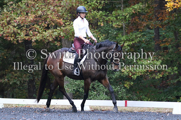 VD3C0196