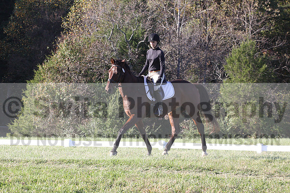 Kelly Linn on Hanover, Green Horse Trials