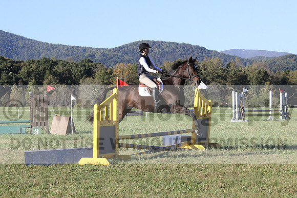 Nancy Grey on Bit Of Irish, Advanced Green Horse Trials B