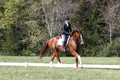Amy Parsons on Wren Wrouge, Advanced Green Horse Trials A