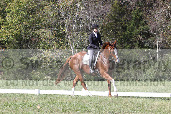 Amy Parsons on Wren Wrouge, Advanced Green Horse Trials A