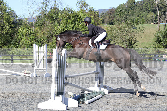 Wenzhao Zhang on High Roller, Beginner Novice Senior Horse Trials A