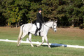 Madeleine Kahle on Luck Be A Lady, Novice Horse Trials Senior A