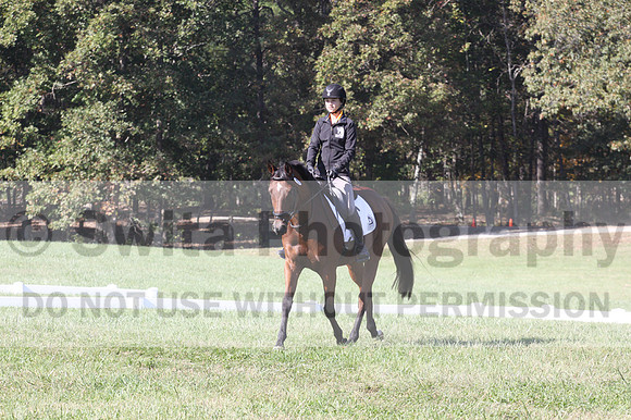 Katie LaValle on High Speed Internet, Beginner Novice Horse Trials Senior A