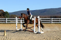 Molli Heisler on Rebel, Green Horse Trials Junior