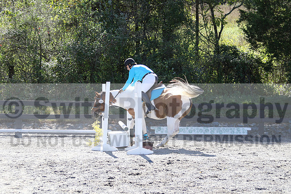 Natascha Schroll-McLaughlin on Play Girl, Beginner Novice Senior HT B