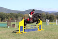 Melissa Kenny on F.O. Calculated Risk, Novice Horse Trials Senior B