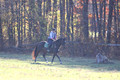 Corinne McCoy on FGF Midnight Harmony, Advanced Green Horse Trials Senior A