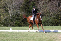 Amy Parsons on Wren Wrouge, Advanced Green Horse Trials A