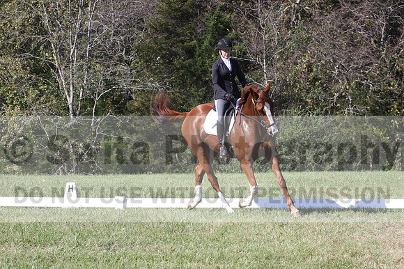 Amy Parsons on Wren Wrouge, Advanced Green Horse Trials A