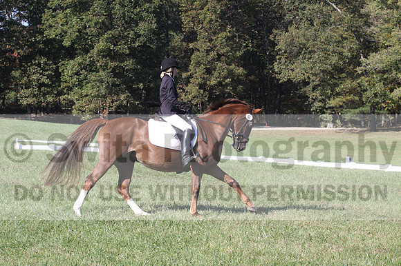 Maggie Proffitt on Wallstreet Melody, Novice Horse Trials Junior