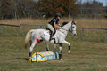 Tori Nuckols on Grey Dragon, Beginner Novice Horse Trials Senior A