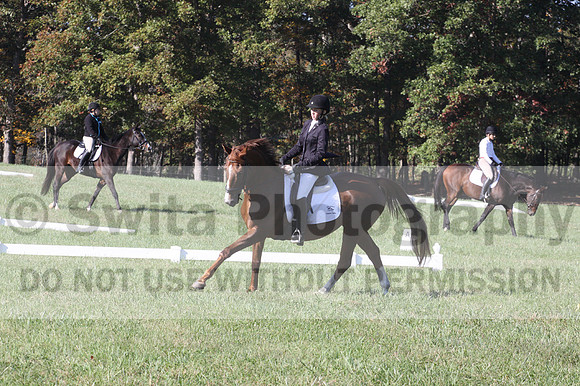 Maggie Proffitt on Wallstreet Melody, Novice Horse Trials Junior