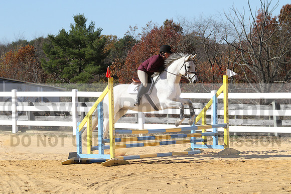Shannon Bower on Bastille, Beginner Novice Combined Test