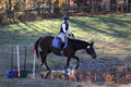 Caroline Morel on Lizzie, Green Horse Trials Junior