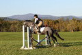 Elizabeth Brown on BallyGrace Encore, Green Horse Trials