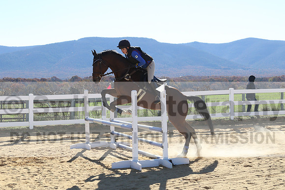 Francesca Toms on Top Secret, Novice Horse Trials Junior