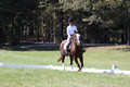 Pia Zuffoletti on Rio, Beginner Novice Horse Trials Junior A