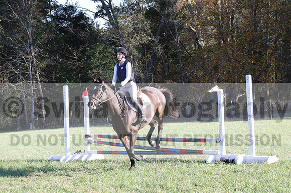Nancy Grey on Bit Of Irish, Advanced Green Horse Trials B