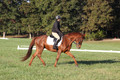 Jenny Rosner on Abbey Moon, Training Horse Trials