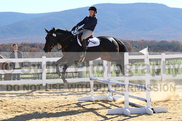 Lauren Seitz on Lyra, Beginner Novice Combined Test