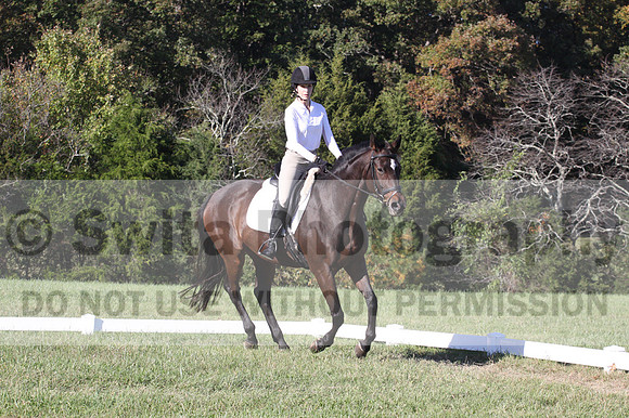Nancy Grey on Bit Of Irish, Advanced Green Horse Trials B