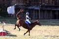 Kylie Oseguera on Boss Man, Advanced Green Horse Trials Junior B