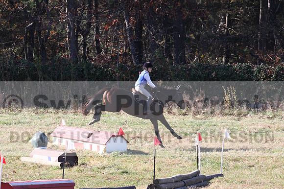 Sydney Whetstone on Covergirl, Beginner Novice Horse Trials Junior B