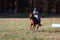 Kylie Oseguera on Boss Man, Advanced Green Horse Trials Junior B