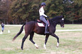 CH8P0947
