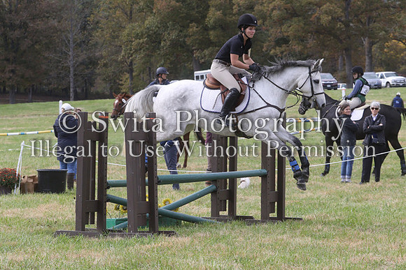 CH8L1294