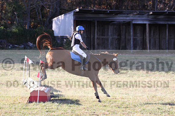Kylie Oseguera on Boss Man, Advanced Green Horse Trials Junior B