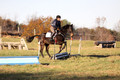Trina Gomez on Anubis, Green Horse Trials Senior