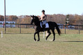 Amy Kryder on Rhianna, Beginner Novice Horse Trials Senior C