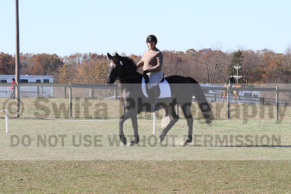 Amy Kryder on Rhianna, Beginner Novice Horse Trials Senior C