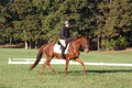 Jenny Rosner on Abbey Moon, Training Horse Trials