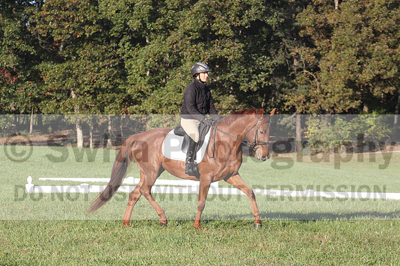 Jenny Rosner on Abbey Moon, Training Horse Trials