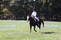 Pia Zuffoletti on Rio, Beginner Novice Horse Trials Junior A