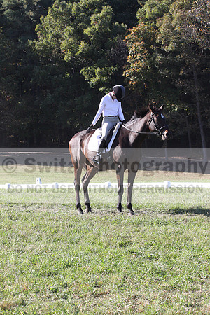 Nancy Grey on Bit Of Irish, Advanced Green Horse Trials B