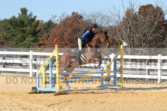 Francesca Toms on Top Secret, Novice Horse Trials Junior