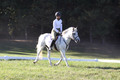 Jeanne Jeffer on Snowball's Chance, Green Horse Trials