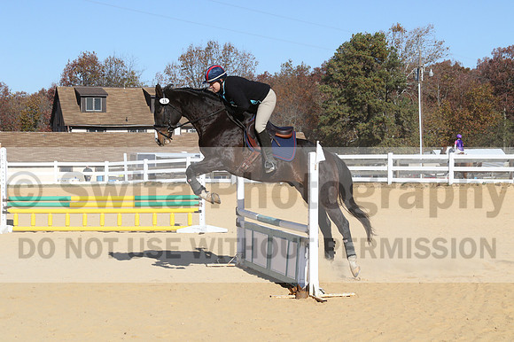 Mimi Combs on Aristocrat, Beginner Novice Horse Trials Senior A