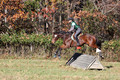 Wendy Zolinski on Civil Assets, Training Horse Trials