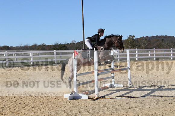 Alex Holliday on Partly Cloudy, Novice Horse Trials Junior